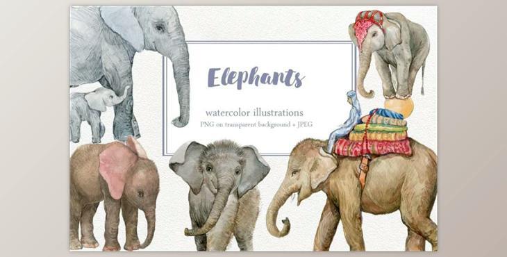 Elephants Watercolor Illustrations By MitrushovaArt