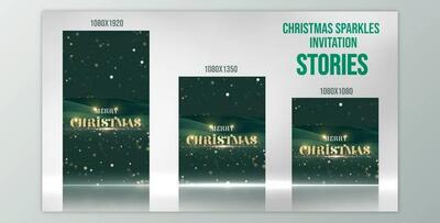 Light Sparkle Invitation_Stories (Videohive 49665065) - AE Project
