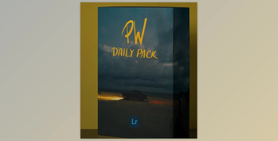 Polina Washington – PW Daily Pack – Lightroom Presets