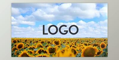Sunflower Opener (Videohive 33348696) - AE Project