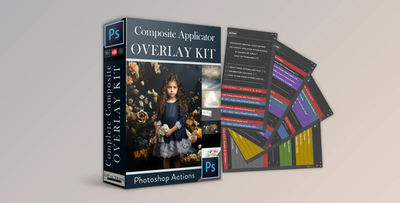 LSP – Overlay Applicator & Composite Action Kit