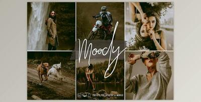 SignatureEdits – Moody Vibes Lightroom Collection