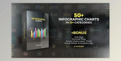 Infographic Charts (Videohive 23134724) - AE Project