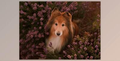 Greater than Gatsby – The Fur and Feathers Collection