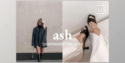 4 Lightroom Presets ASH CreativeMarket-5486816 (DNG, XMP)