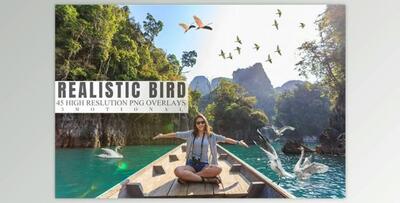 45 Realistic Bird Overlays (3motional)