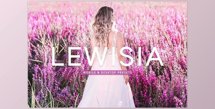 Lewisia Pro Lightroom Presets CreativeMarket - 7193786