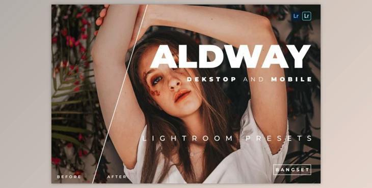 Aldway Desktop and Mobile Lightroom Preset by Bangset