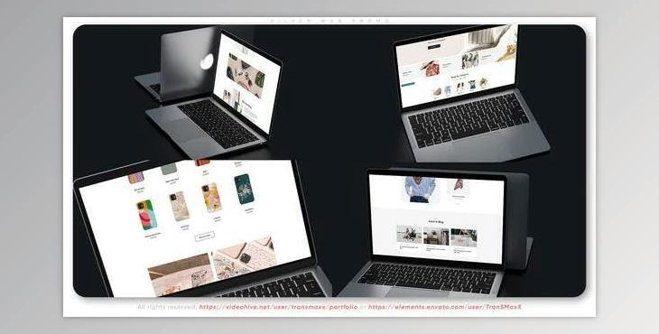 Silver Web Promo (Videohive 36572175) - AE Project