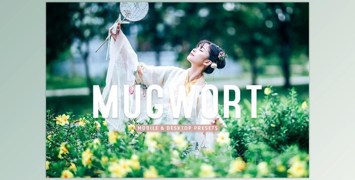 Mugwort Pro Lightroom Presets CreativeMarket - 7193789