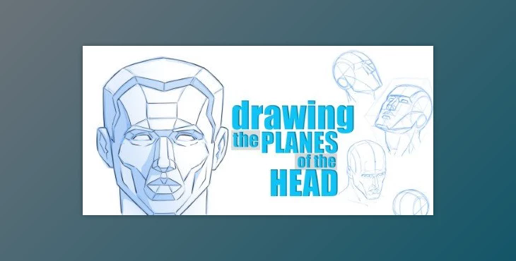 How to Draw the Planes of the Head