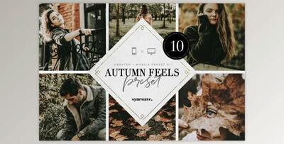 Autumn Feels Lightroom Presets By SYNCWAVE (Mob, Desk)