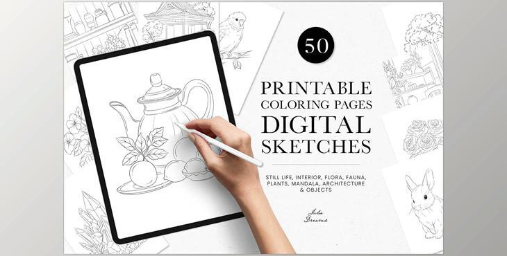 Coloring Pages Digital Sketches Illustration