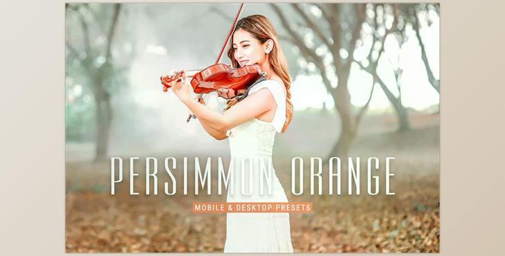 Persimmon Orange Lightroom Presets CreativeMarket - 6915633