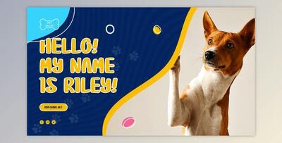 Pet Shop Promo (Videohive 38134741) - AE Project