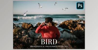 Bird Overlays Photoshop CreativeMarket-4934539