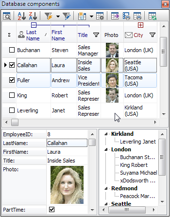 Rosinsky VCL Components Full Source 17.1
