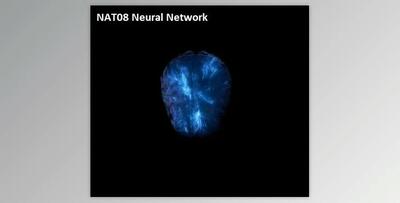 NAT08 Neural Network (Multi Kit)