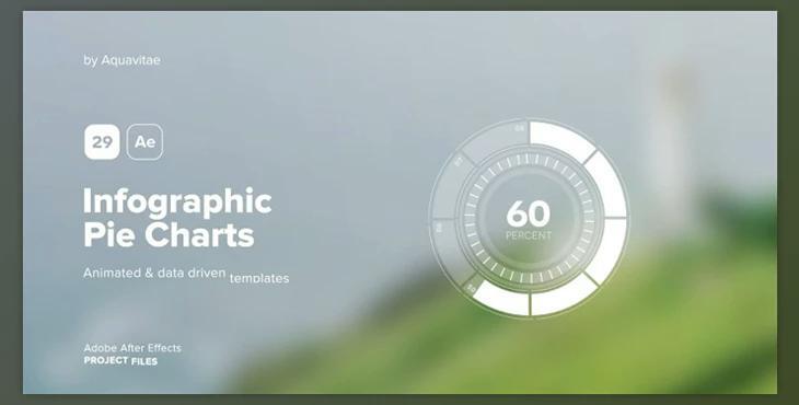 Infographic Pie Charts (Videohive 39699110) - AE Project