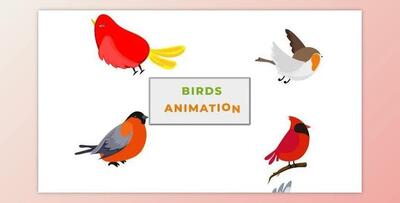 Small Sparrow Birds Animation scene (Videohive 42855426) - AE Project