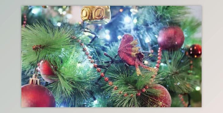 Christmas Night (Videohive 40270495)