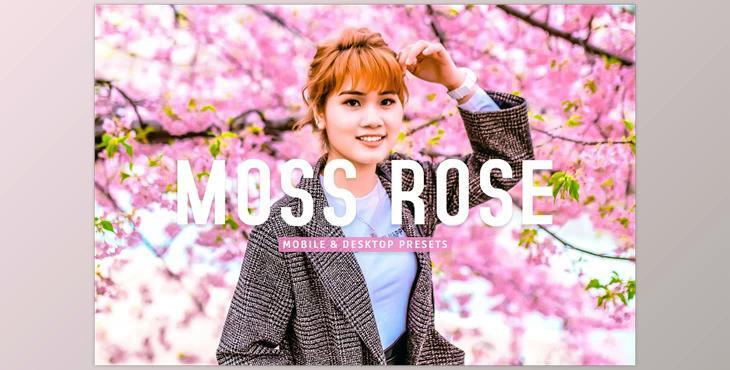 Moss Rose Pro Lightroom Presets CreativeMarket - 7075193