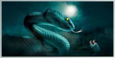 Photoshop Advanced Manipulation Course – The Viper Snake