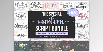 The Special Modern Script Font Bundle - 59 Premium Fonts
