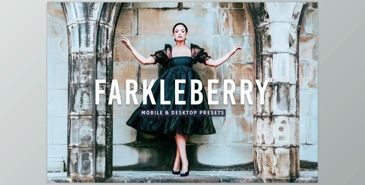 Farkleberry Pro Lightroom Presets CreativeMarket - 7469788