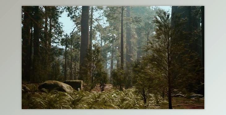 Tall Forest of Sequoias in Yosemite National Park (Videohive 47581270)