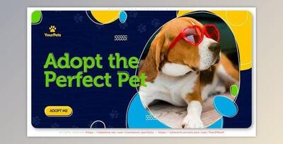 Adopt the Perfect Pet. Be a Hero! (Videohive 30388226) - AE Project