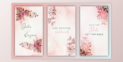 Wedding Invitation Instagram Story (Videohive 39391753) - AE Project