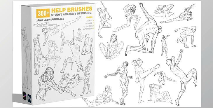 300 Help Brushes Vol.2 Study [Anatomy of Posing]