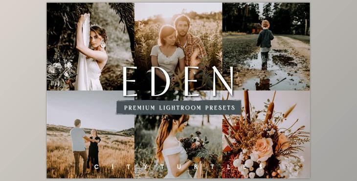 Dark Moody EDEN Lightroom Presets CreativeMarket-6043655 (LRTEMPLATE, XMP, DNG)