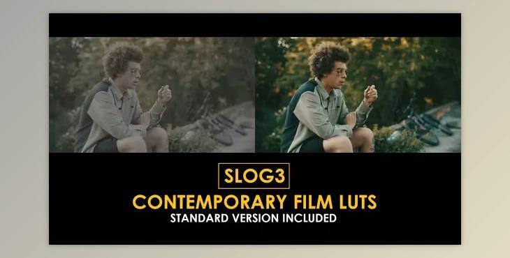 Slog3 Contemporary Film and Standard Color LUTs (Videohive 51048036)