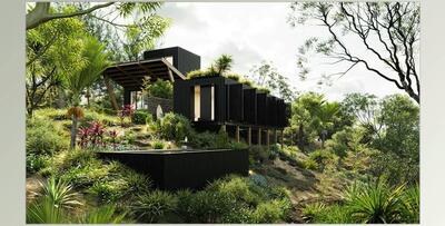 Globe Plants – Bundle 33 -New Zealand Home & Garden Plants