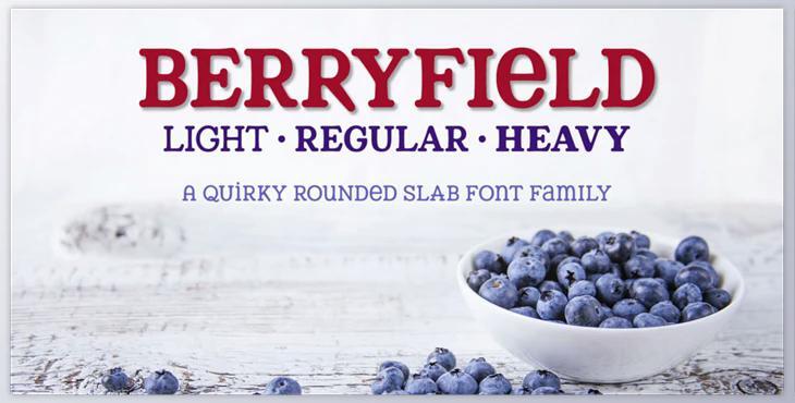 Berryfield Font Family – 3 Fonts