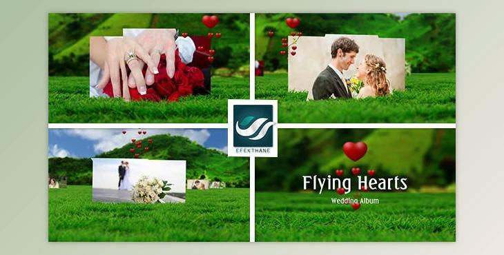 Flying Hearts Wedding Album (Videohive 6623915)