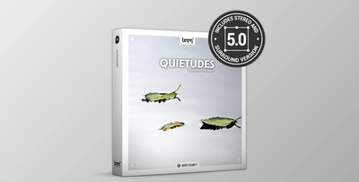 QUIETUDES By BoomLibrary