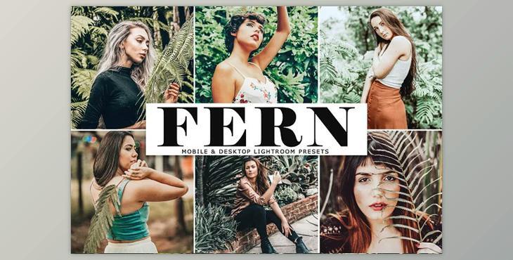 Fern Lightroom Presets Pack CreativeMarket - 4140047