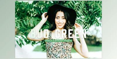 Bud Green Pro Lightroom Presets CreativeMarket - 6923040