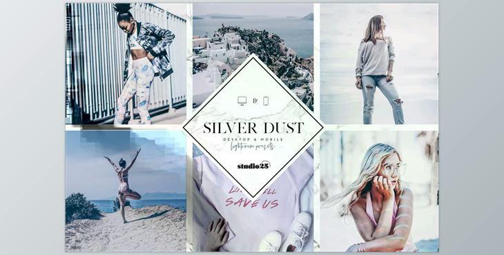 2 Silver lightroom presets CreativeMarket - 4007319