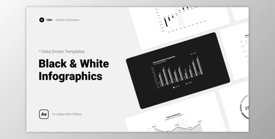 Black & White Infographics (Videohive 38563022) - AE Project
