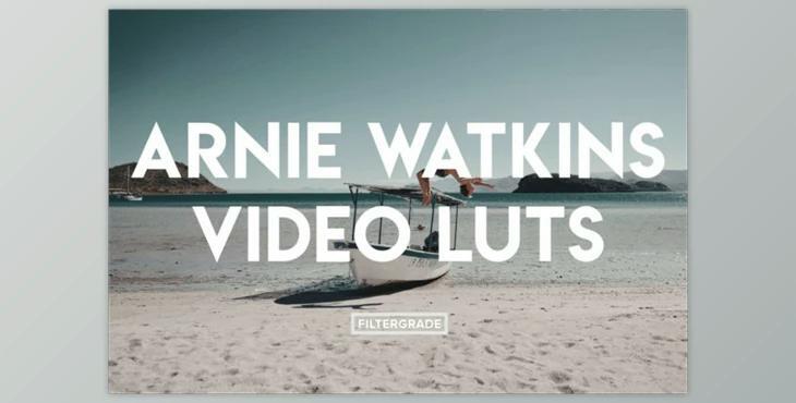 Arnie Watkins Video LUTs