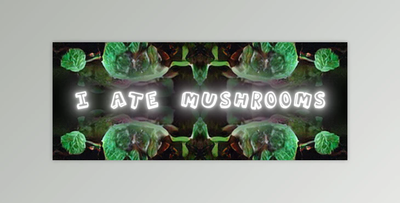 Aescriprs I Ate Mushrooms v1.6.24