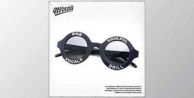 91Vocals RnB Vocals x Soulful Drill (WAV)