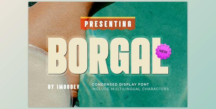 Borgal – Modern Minimal Font