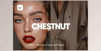 6 CHESTNUT LIGHTROOM PRESETS CreativeMarket - 6734081
