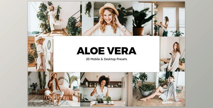 20 Aloe Vera Lightroom Presets & LUTs CreativeMarket-5861842 (XMP, PNG, DNG)