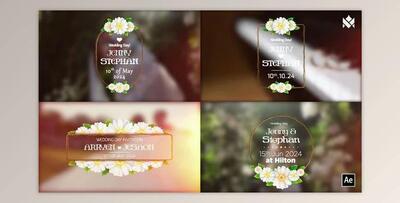 Wedding title V.01 (Videohive 50284393) - AE Project